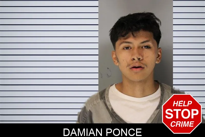 Damian Ponce Mugshots