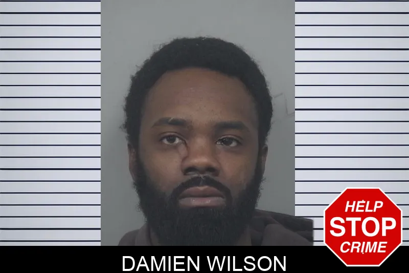 Damien Wilson Mugshots