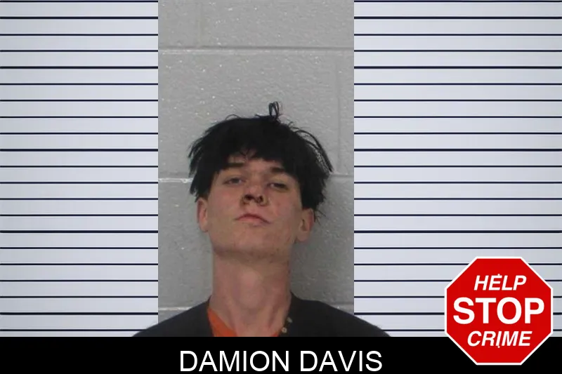 Damion Davis Mugshots