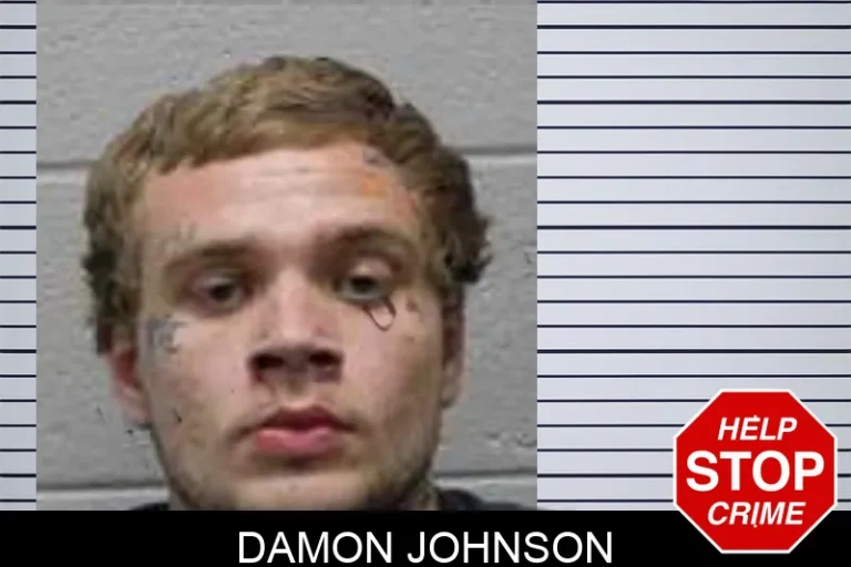 Damon Johnson