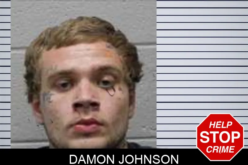 Damon Johnson Mugshots