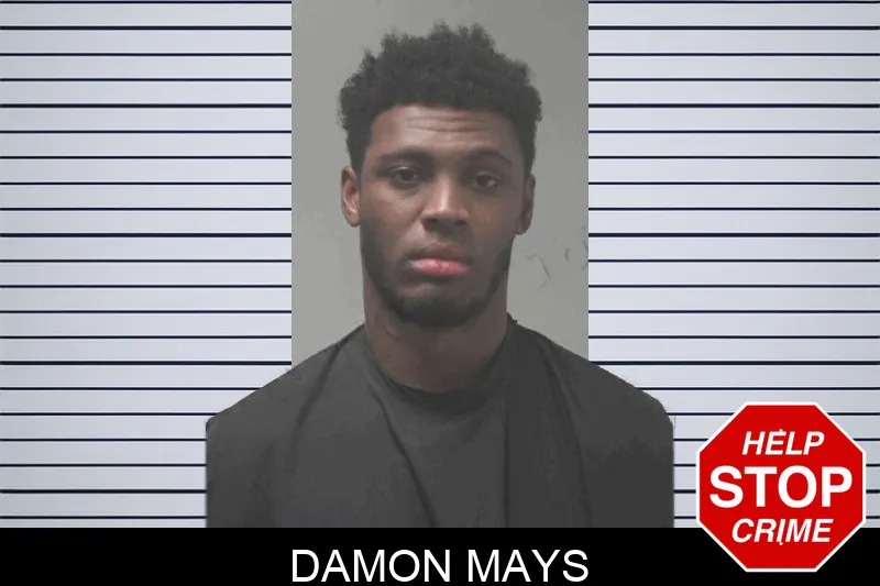 Damon Mays Mugshots