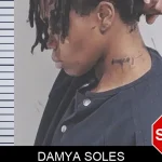 Damya Soles Mugshots