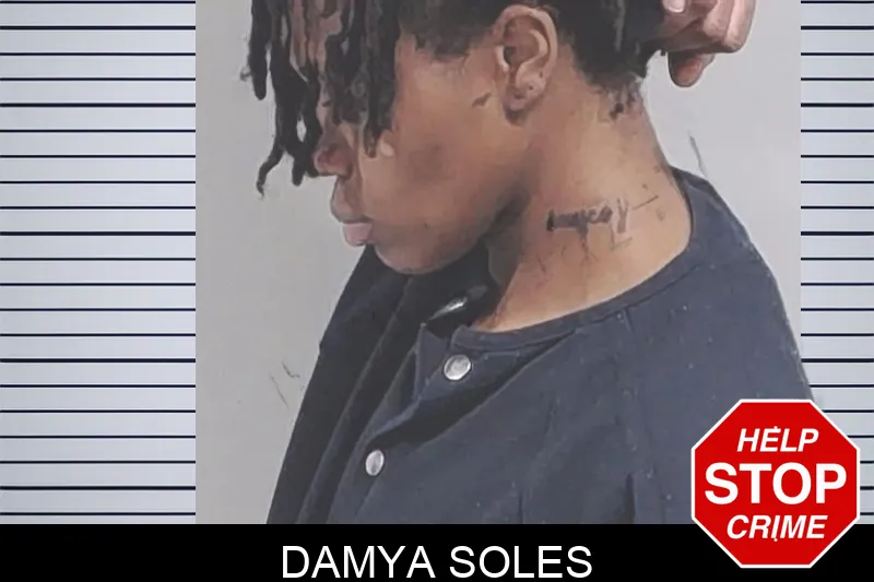 Damya Soles Mugshots