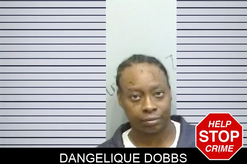 Dangelique Dobbs Mugshots
