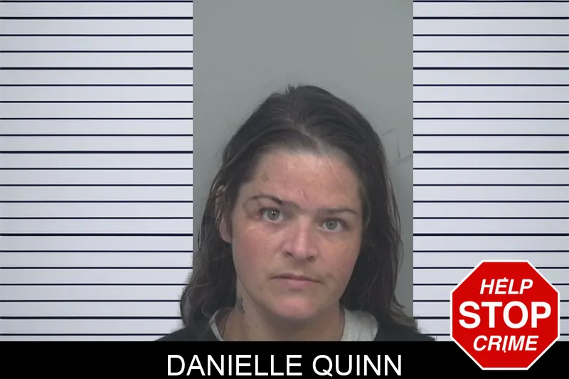 Danielle Quinn mugshot – Gwinnett County , Georgia Danielle Quinn mugshot