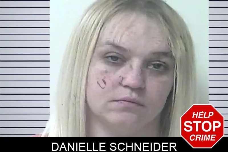 Danielle Schneider Mugshots