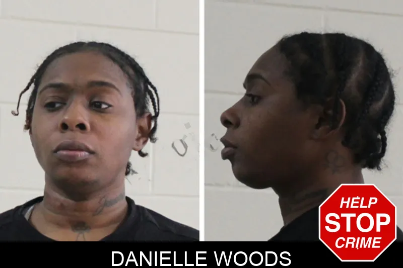 Danielle Woods Mugshots