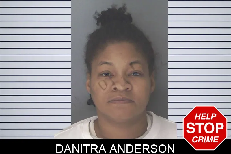 Danitra Anderson Mugshots