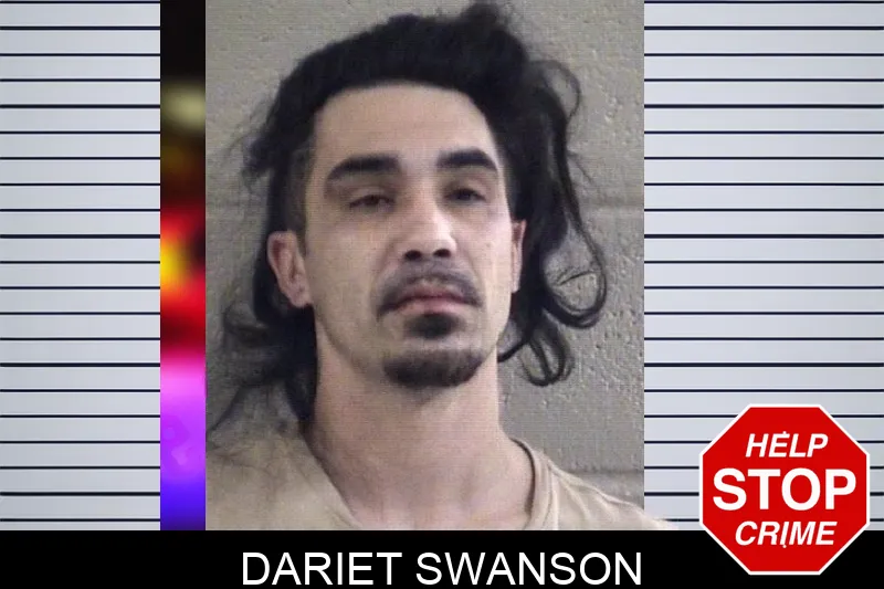 Dariet Swanson Mugshots