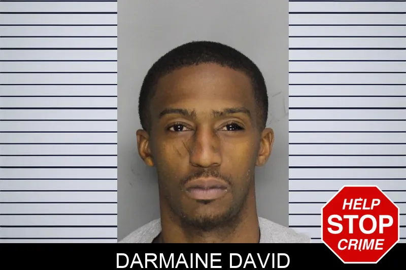 Darmaine David mugshot