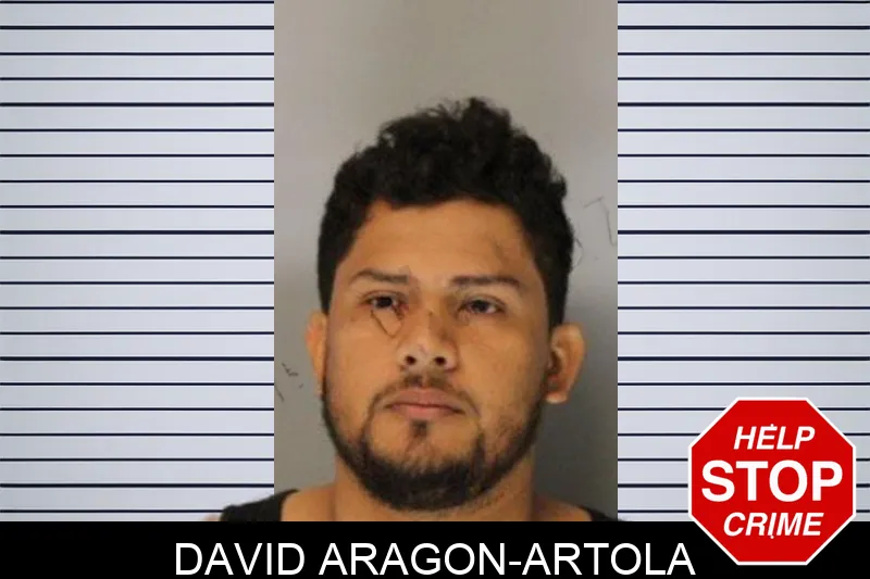 David Aragon-Artola Mugshots