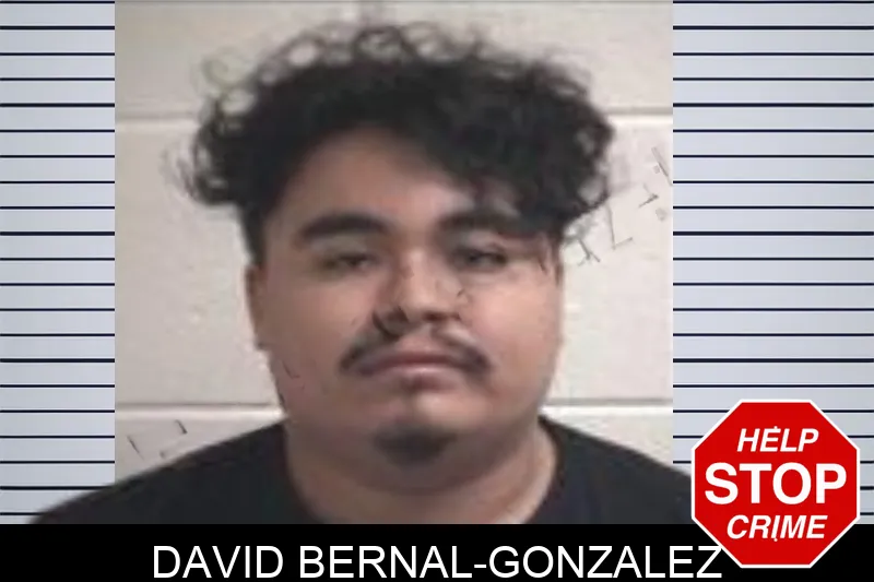 David Bernal-Gonzalez Mugshots