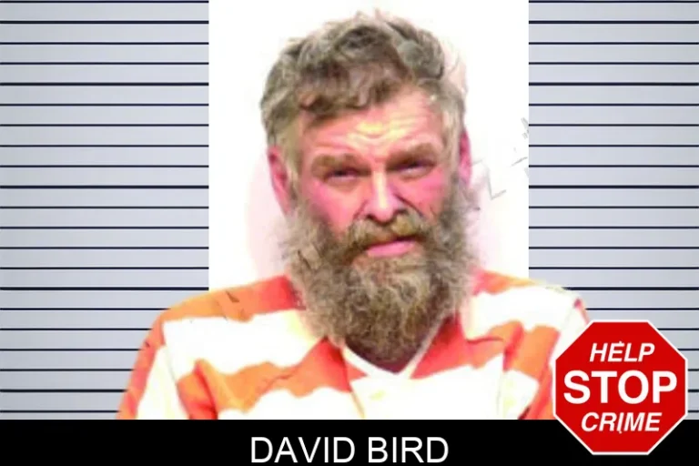 David Bird