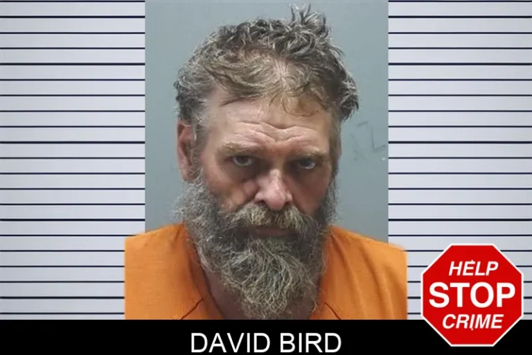 David Bird