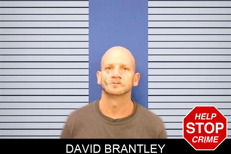 David Brantley Mugshots