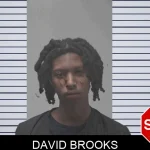 David Brooks Mugshots