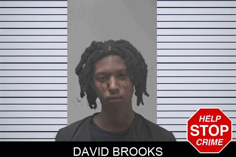 David Brooks Mugshots