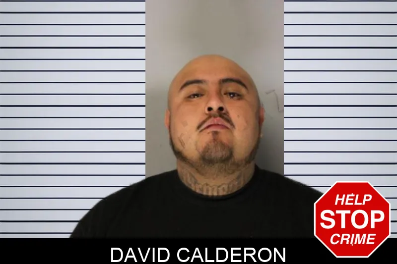 David Calderon Mugshots
