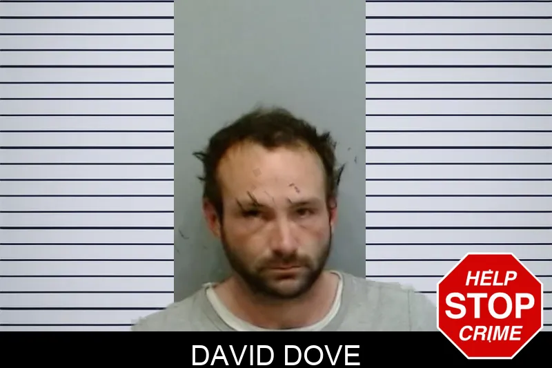 David Dove Mugshots