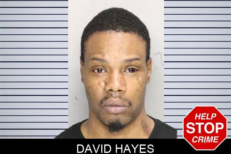 David Hayes mugshot