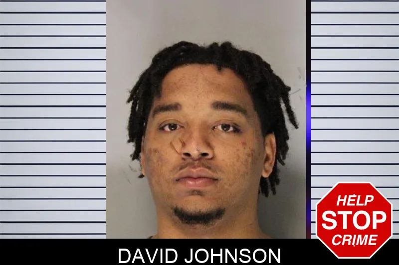 David Johnson Mugshots