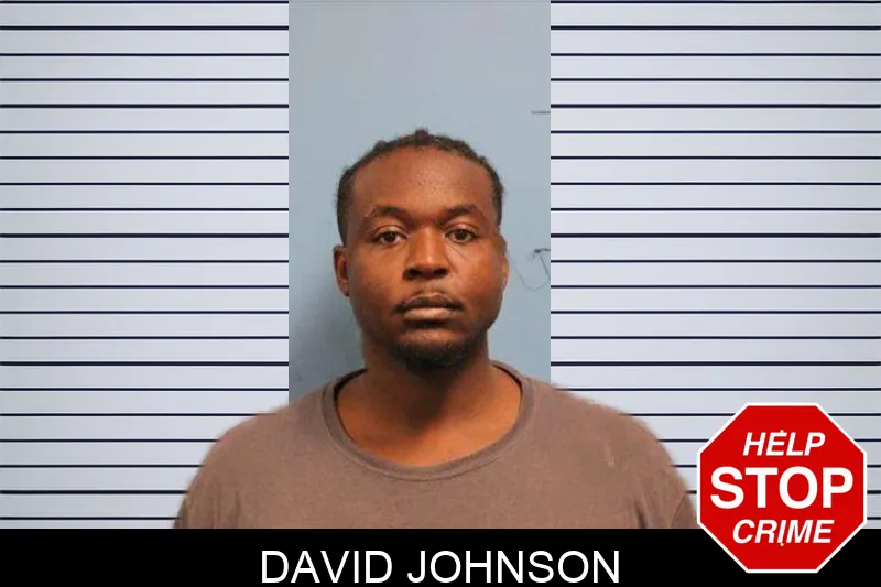 David Johnson Mugshots