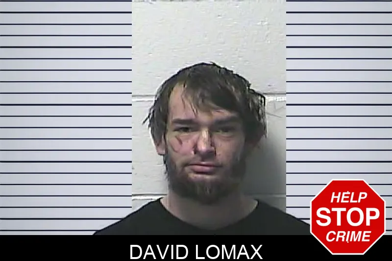 David Lomax Mugshots