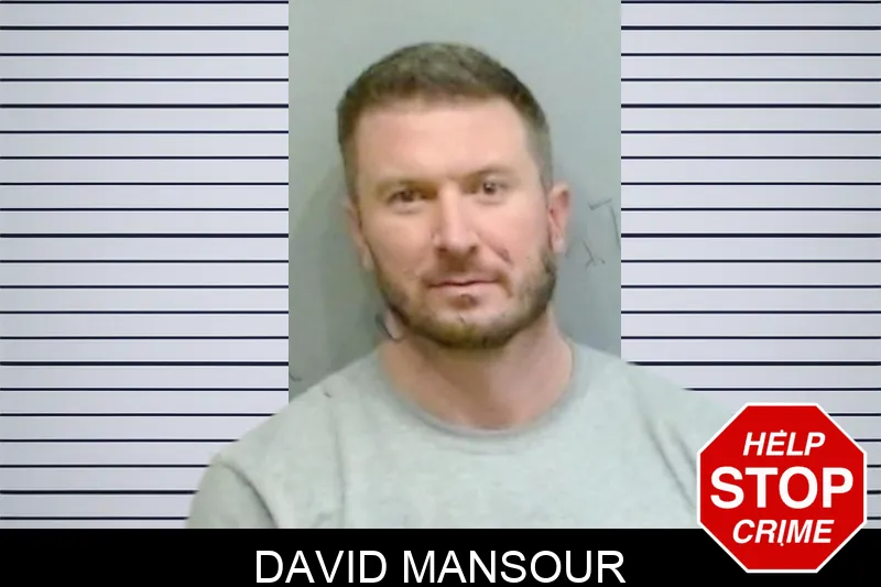 David Mansour Mugshots