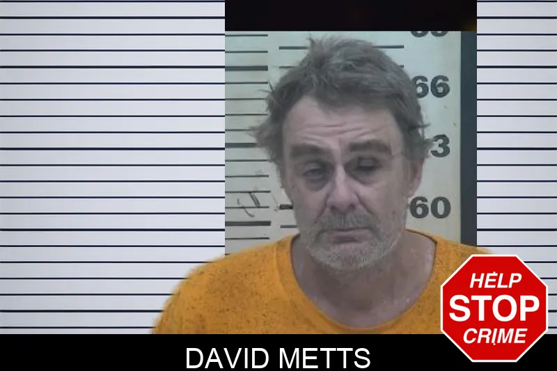 David Metts Mugshots