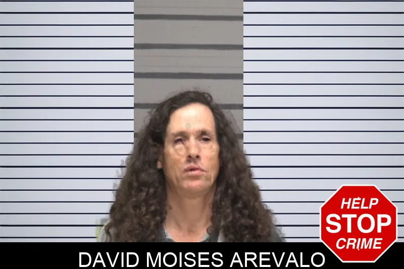 David Moises Arevalo Mugshots