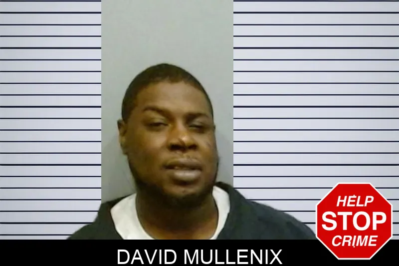 David Mullenix Mugshots