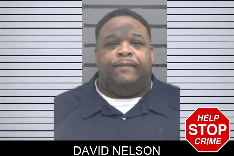 David Nelson Mugshots