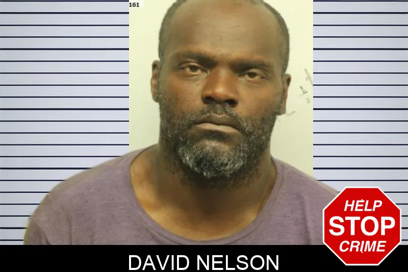 David Nelson Mugshots