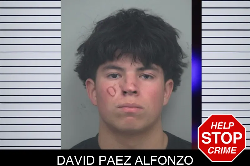 David Paez Alfonzo Mugshots