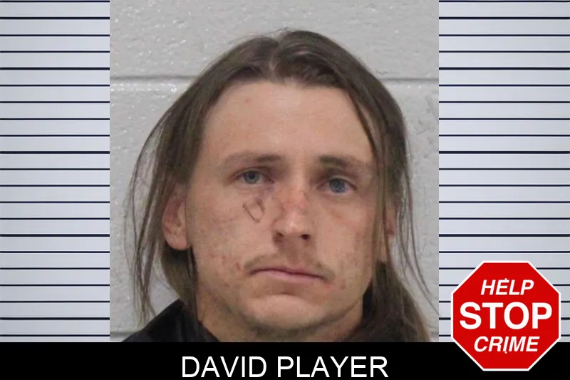 David Player Mugshots