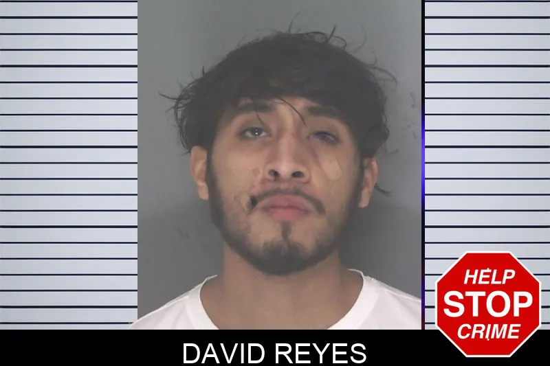 David Reyes Mugshots