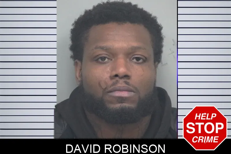 David Robinson mugshot – Gwinnett County , Georgia David Robinson mugshot