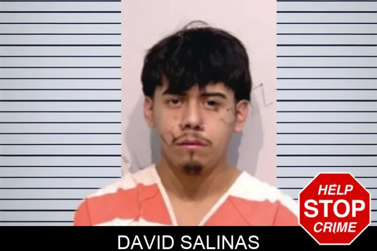 David Salinas
