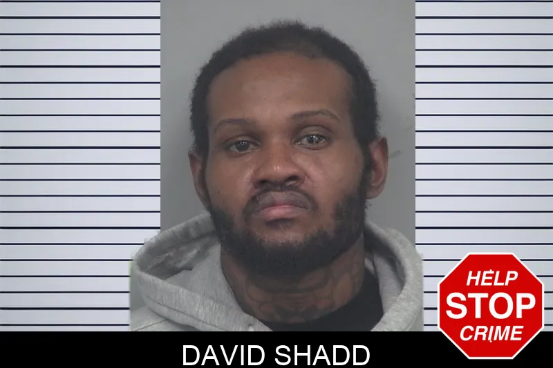 David Shadd Mugshots