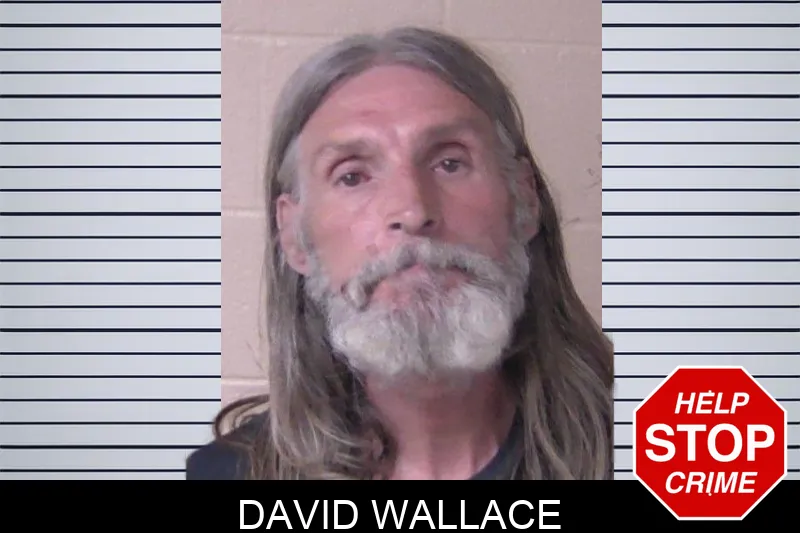 David Wallace Mugshots