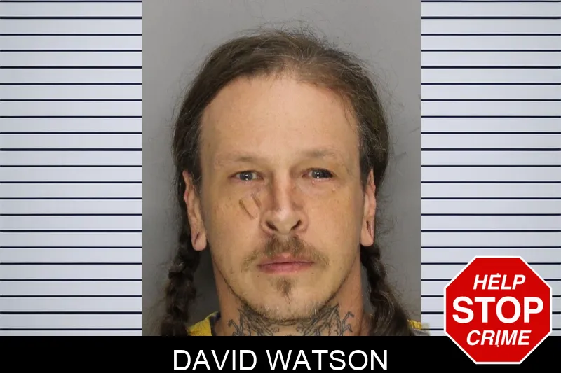 David Watson Mugshots