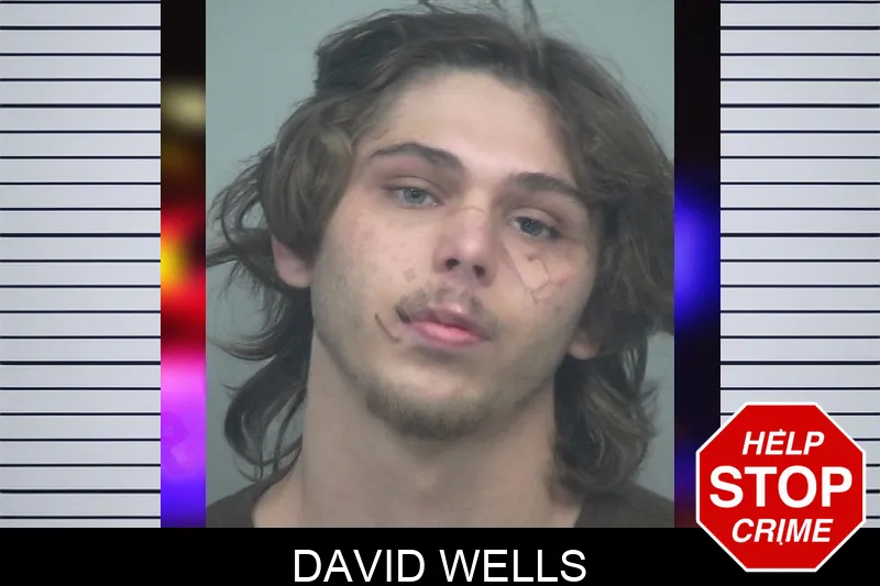 David Wells mugshot – Gwinnett County , Georgia David Wells mugshot