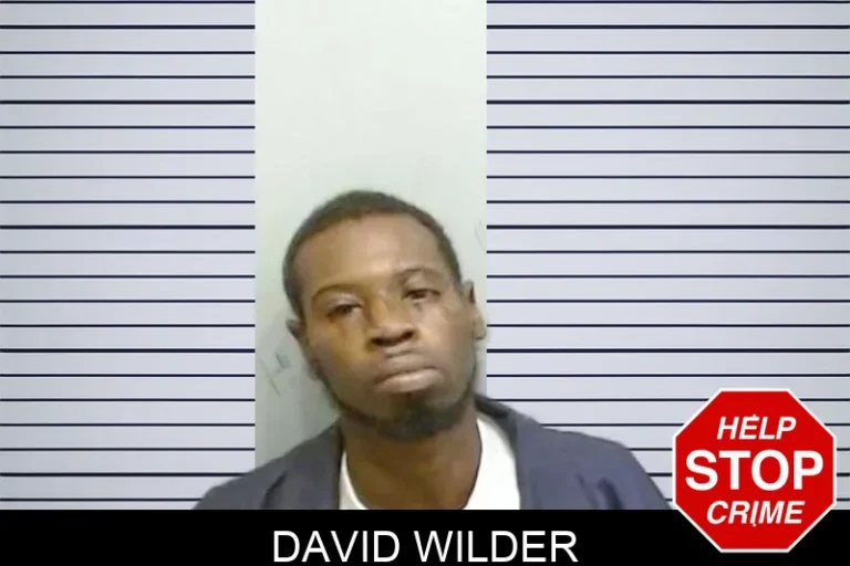 David Wilder