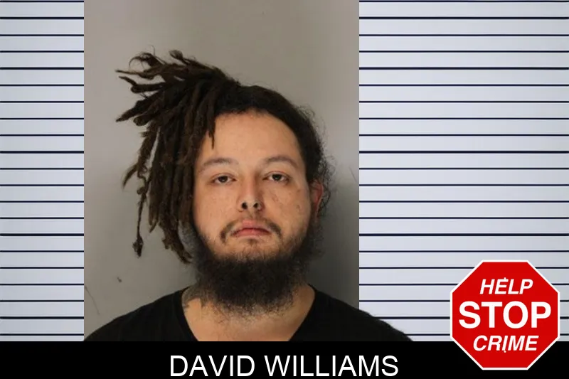 David Williams mugshot