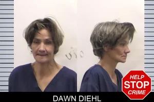 Dawn Diehl mugshot