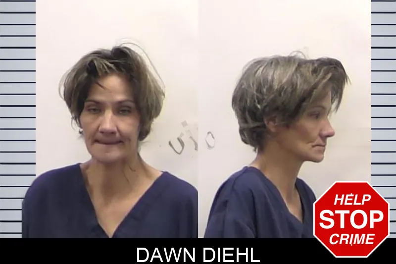 Dawn Diehl Mugshots