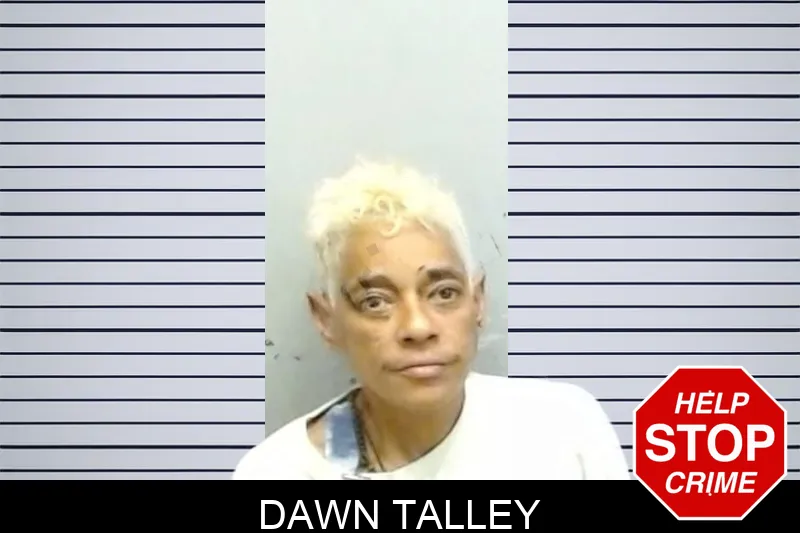 Dawn Talley Mugshots