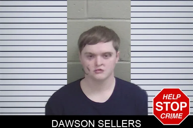 Dawson Sellers mugshot – Wayne County , Georgia Dawson Sellers