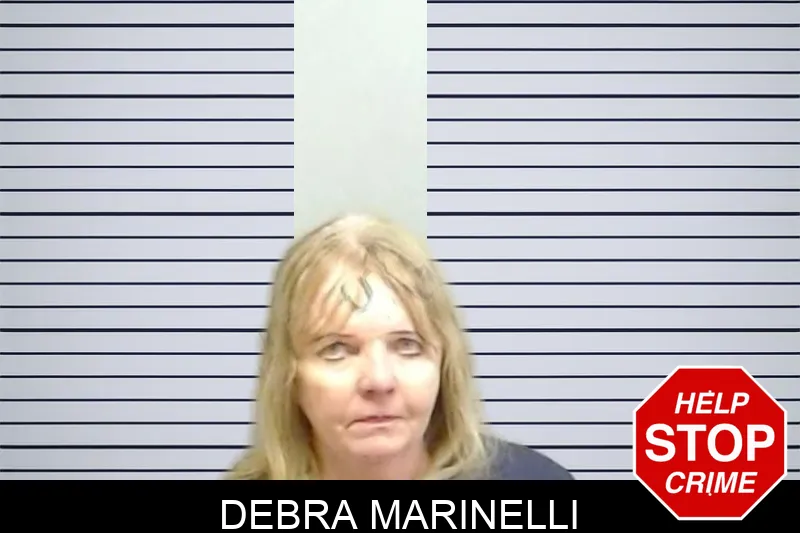 Debra Marinelli mugshot – Fulton County , Georgia Debra Marinelli mugshot